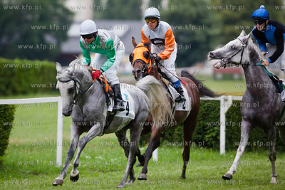 Wyscigi konne na sopockim hipodromie.
13.07.2013
fot....
