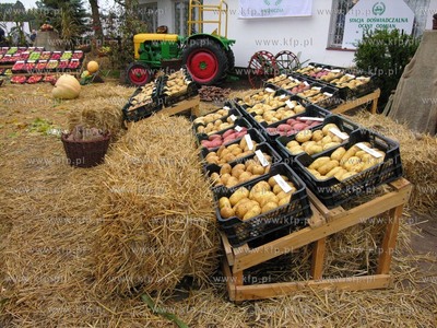 Karzniczka k/Slupska VI Swieto Ziemniaka. 11.10.2009...