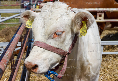 XX Pomorskie Targi Rolno Przemyslowe Pomorska Wojewodzka...