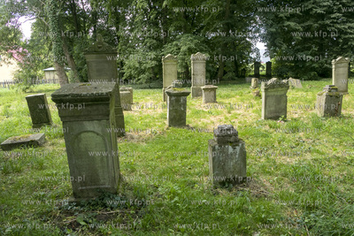 Cmentarz mennonicki z II połowy XVIII wieku w Stawcu...