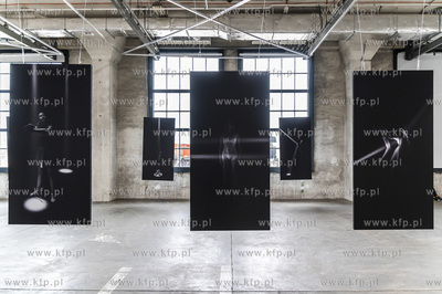 Gdańsk Stocznia. Plenum. Wystawy 4 autorów: Damian...