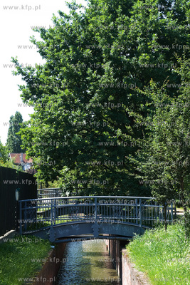 Gdansk Wrzeszcz, Park nad Strzyza.
03.07.2009
fot....