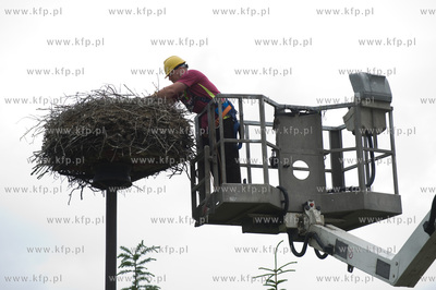 Jak co roku pracownicy Grupy ENERGA wraz z ornitologami...