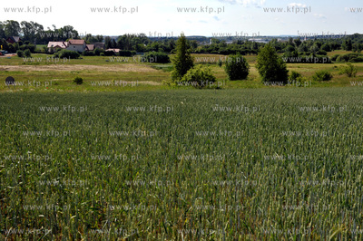 Gdansk, Szadolki. Tereny pod kolejne inwestycje mieszkaniowe....