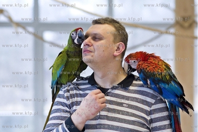 Nowa Papugarnia w Gdańsku Suchaninie.
29.12.2016
fot....