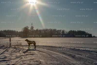 Kamień, gmina Szemud. Zimowy krajobraz w okolicach...