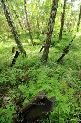 Polwysep Helski miedzy Kuznica a Jastarnia. Osrodek...