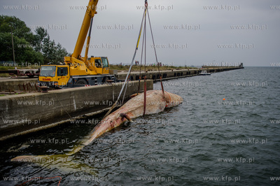Port Wojenny na Helu. Akcja podnoszenia i transportu,...