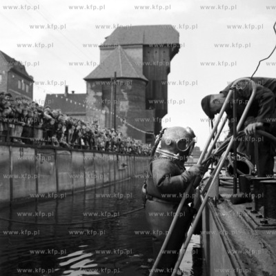 Nurek schodzi pod wodę Motławy.  
25.07.1961
0005925z
Fot....