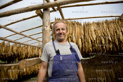 Polskie Stwolno woj. kujawsko-pomorskie  Nz. Gospodarstwo...