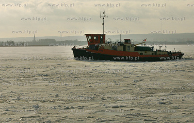 Szczecin. Wspolna akcja polskich ( Dzik, Lis, Zbik,...