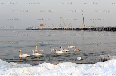 Sopot. Mroz znacznie ponizej 10 stopni spowodowal zamarzniecie...