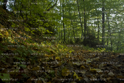 Babi Dol. Jar Raduni. 21.09.2014 fot. Pawel Marcinko...