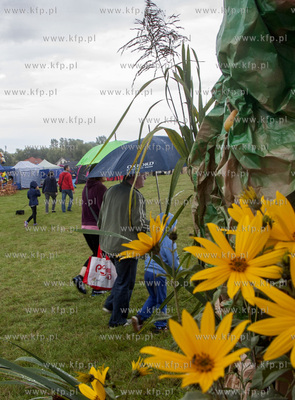 Swieto Miodu Pszczolkowskiego w Parku Lipowym w Pszczolkach...