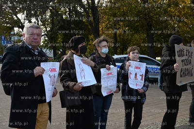 Siedziba Rady Miasta Gdańska. Protest aktywistów...