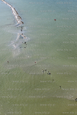 Marsz Sledzia odbywa sie Rybitwia Mielizna (Rewa Mew)...