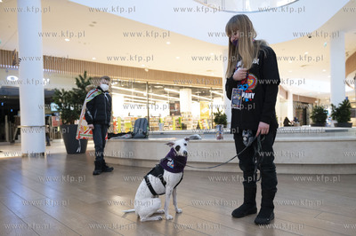29. finał „Wielkiej Orkiestry Świątecznej Pomocy"...