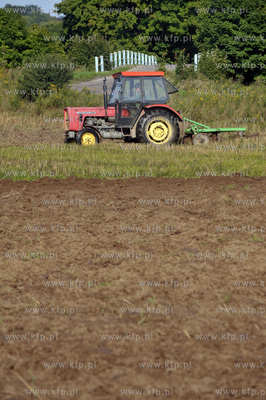 Orka na polu w Leznie na Kaszubach przy drodze w kierunku...