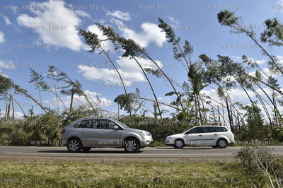 Skutki wichury na Pomorzu. Szosa  pomiędzy miejscowościami...