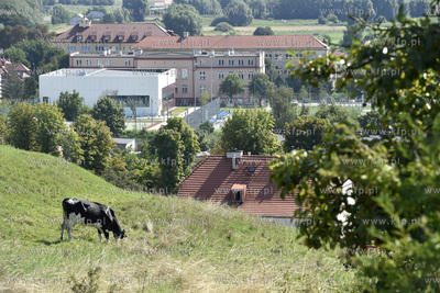 Panorama Gdańska Oruni, widok z punktu widokowego...