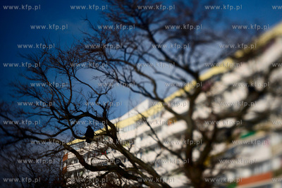 Gdansk. Dzielnica Przymorze.22.02.2011fot. Krzysztof...