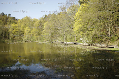 Sopockie Morskie Oko czyli Staw Nowowiejskiego malowniczy...