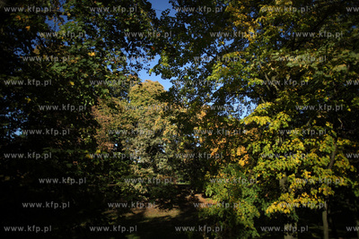 Gdansk. Park Przymorze.
17.10.2012
fot. Krzysztof...