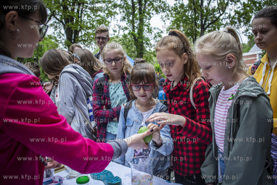 Politechnika Gdańska. Bałtycki Festiwal Nauki. Wydział...