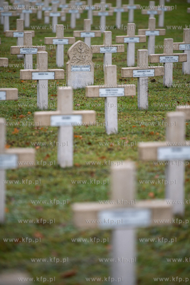 Wojskowy Cmentarz Francuski w Gdańsku. Uroczystości...