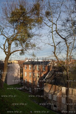 Gdańsk, Biskupia Górka. 3.12.2019 / fot. Anna Rezulak...