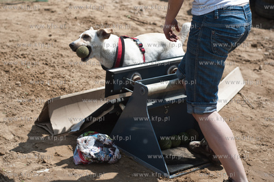 Gdynia Kolibki. Adventure Park. Festyn Edukacyjny pt....