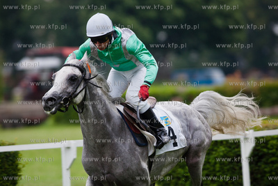 Wyscigi konne na sopockim hipodromie.
13.07.2013
fot....