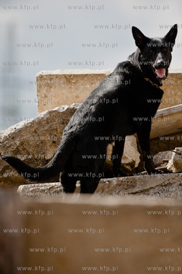 Gdansk Oliwa. Jednostka Strazy Pozarnej przy ul. Beniowskiego....