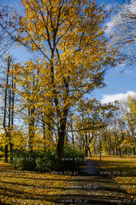 Gdańsk. Jesien w Parku Steffensa.
30.10.2016
fot....