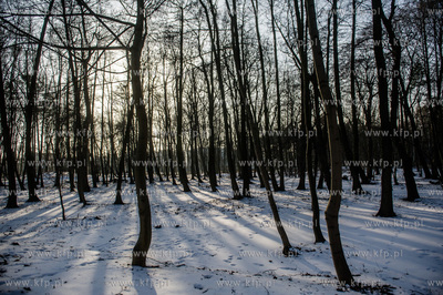 Gdańsk. Park Brzeźnieński im. J. J. Haffnera.
16.02.2017
fot....