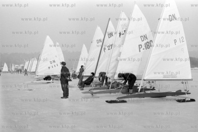 Bojerowe mistrzostwa Europy w Krynicy Morskiej na Zalewie...