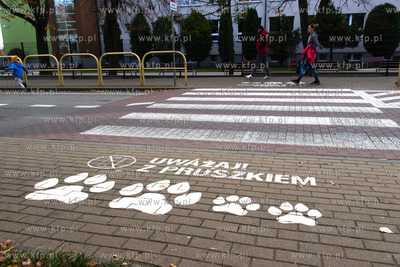 Akcja "Bezpieczeństwo z Lwem Pruszkiem na przejściach...