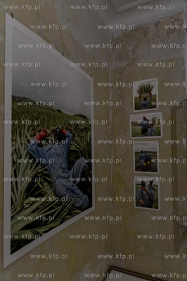 SPLOT Gallery, North Goes South - Waste We Didn’t...