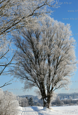 Zima w Sulminie na Kaszubach. Droga z Niestepowa do...