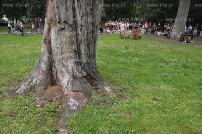 Gdansk Oliwa. Impreza Parkowanie czyli rozsmakuj sie...