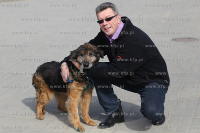 Schronisko dla Bezdomnych Zwierząt "Promyk" w Gdańsku...