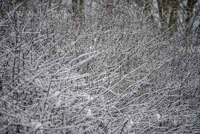 Zima na Kaszubach, okolice miejscowości Rutki. 13.01.2021...