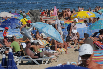 Plaza, Wladyslawowo. Sezon w pelni 08.08.2009 fot....