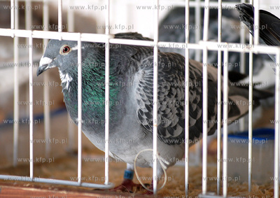 W dniach 5-7 stycznia w halach wystawienniczych Miedzynarodowych...