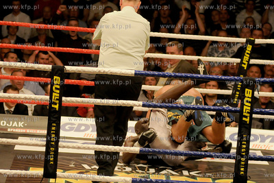 Wielka Gala Boksu Zawodowego - Wojak Boxing Night w...