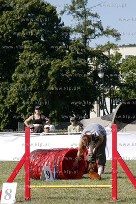 Sopocka Wystawa Psow Rasowych. W trakcie wystawy odbywaly...