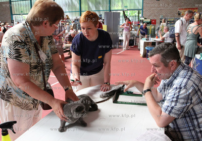 Dwunasta Miedzynarodowa Wystawa Kotow Rasowych Sopot...