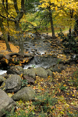 Gdansk Oliwa Park. Fragment parku z basenem parkowym.Poczatkiem...