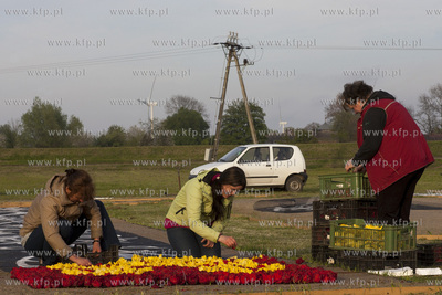Mokry Dwor - przygotowania do Zulawskiego Tulipna....