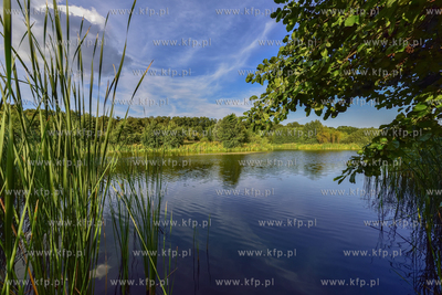 Gdansk. Park Reagana 29.08.2015 fot. Jan Harb Sieminski...